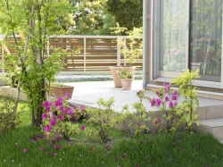 Entretien de jardin avec taille des arbres de saison et replantage de gazon  