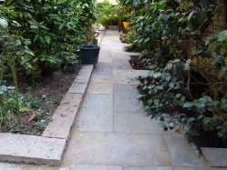 Entretien de jardin avec traitement des végétaux contre les différents nuisibles  