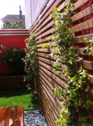Architecte paysager pour une conception de jardin avec mise en place d'un bassin zen   