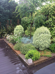 Jardinier paysagiste pour une création de jardin avec des influences japonaises  