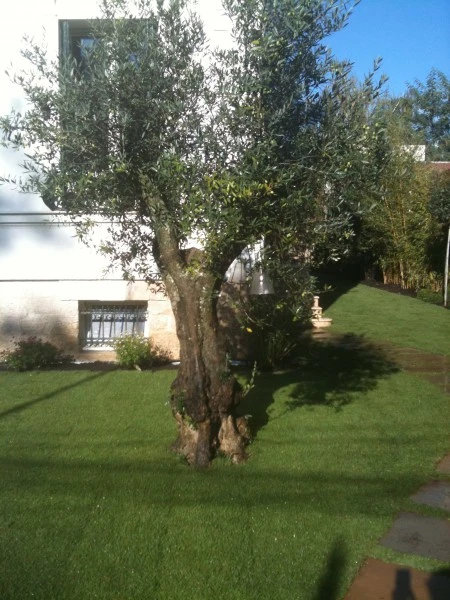 img-0568